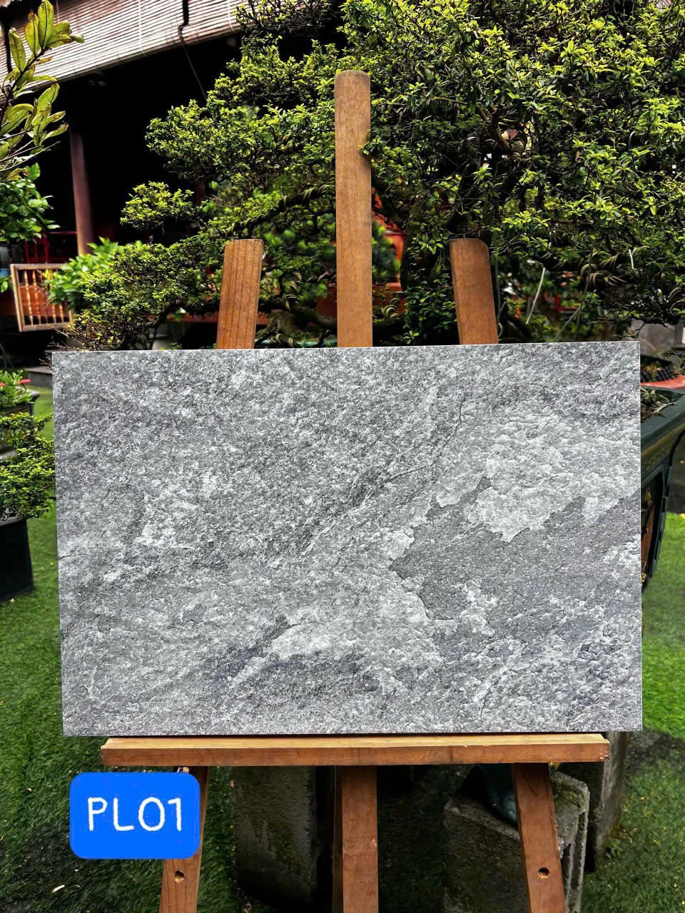 Gạch Ốp Tường 30x60cm -5581