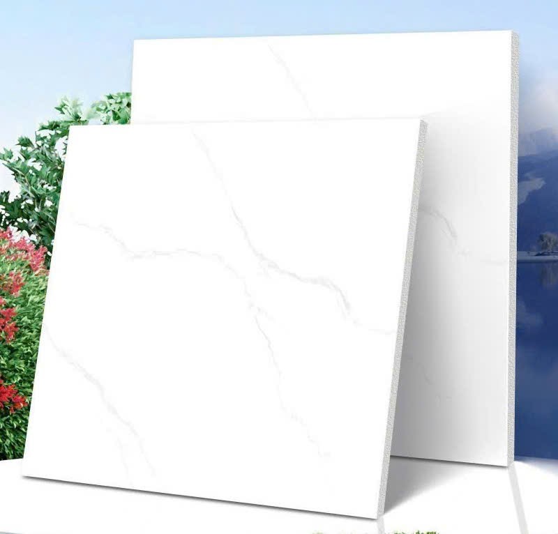 Gạch ốp lát 80x80cm-4887