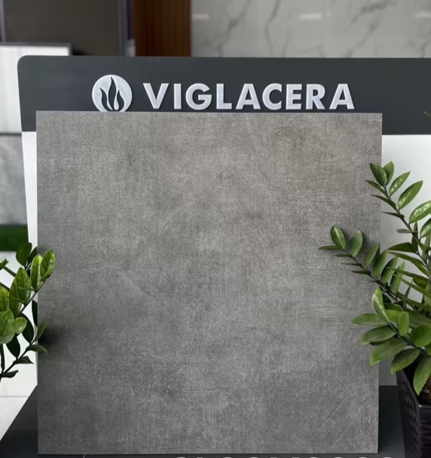 Gạch ốp lát 80x80cm Viglacera -4980