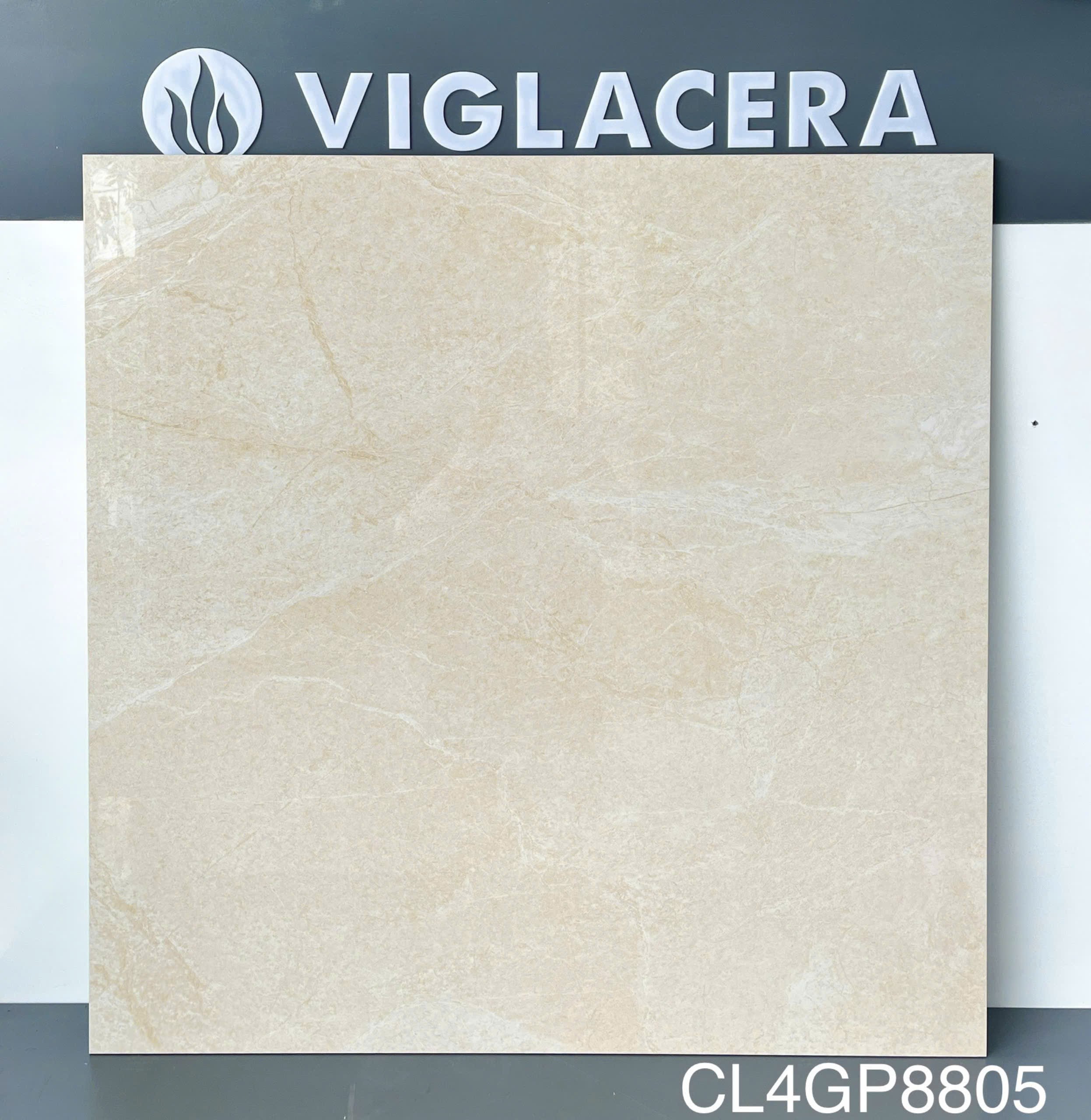 Gạch ốp lát 80x80cm Viglacera -4983