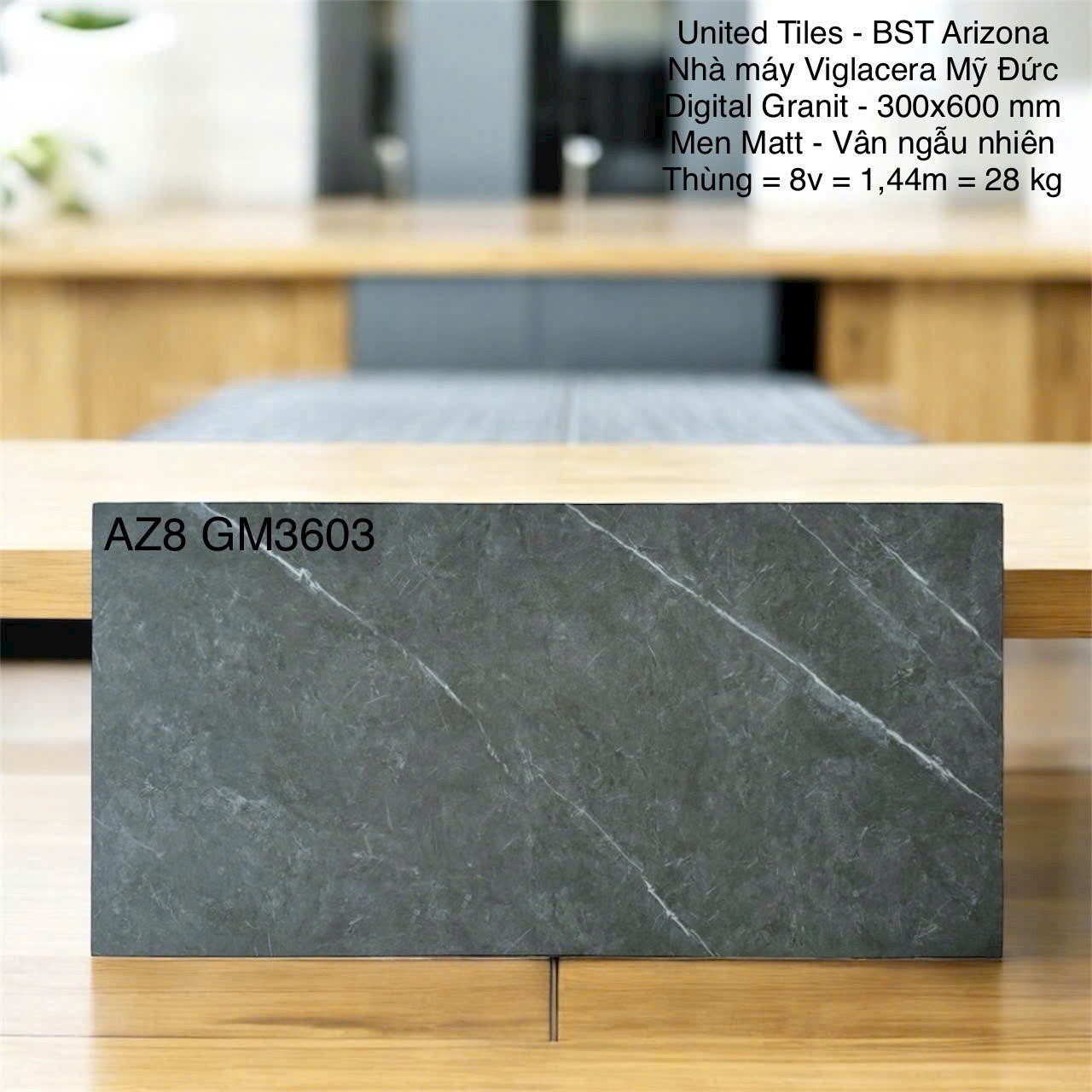 Gạch ốp lát 30x60cm-5461