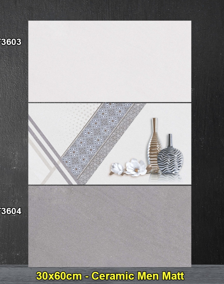 Gạch ốp lát 30x60cm-5470