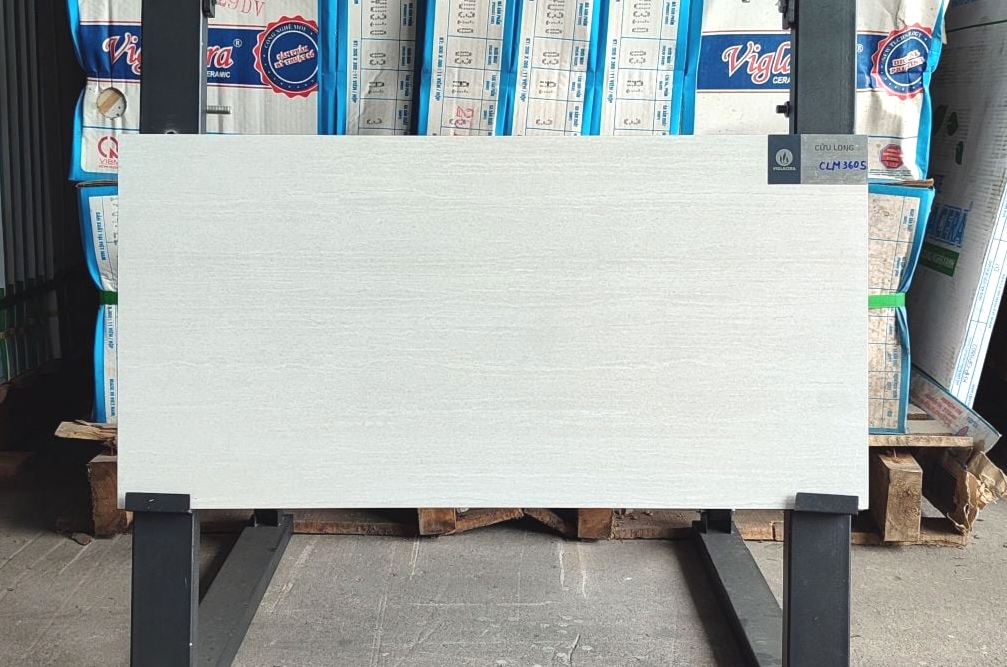 Gạch ốp lát 30x60cm-5474