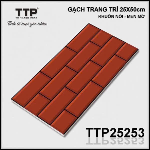 Gạch trang trí 25x50cm-5530