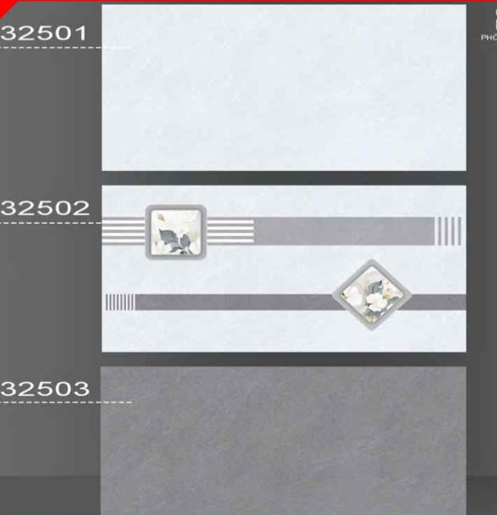 Gạch ốp lát 30x60cm-5547