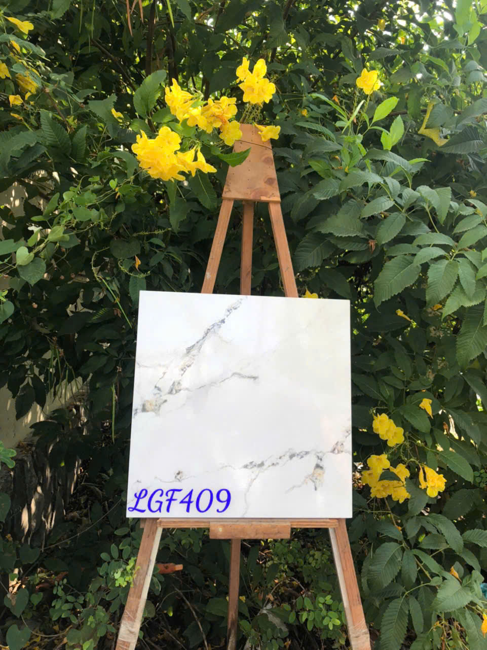 Gạch Lát Nền 40x40cm -5059
