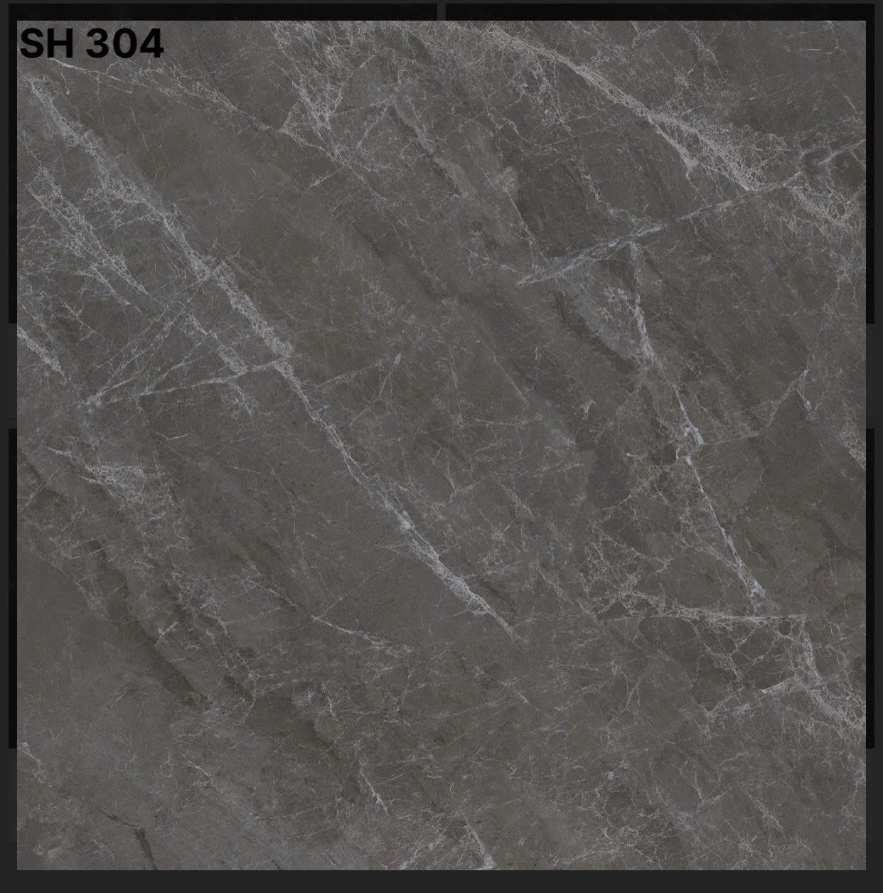 Gạch lát nền 30x30cm -5479