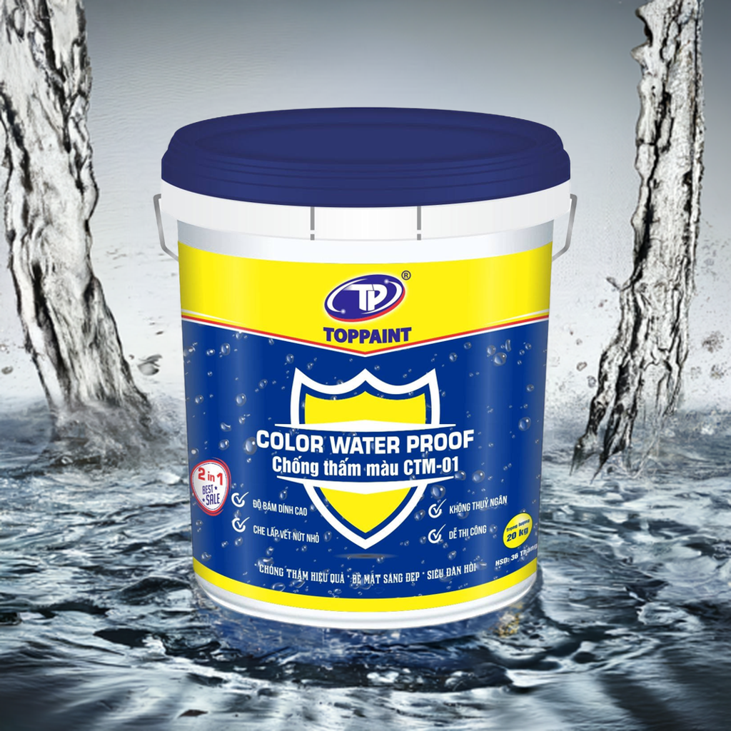 Sơn Chống thấm màu ColorWaterProof 1kg-2587