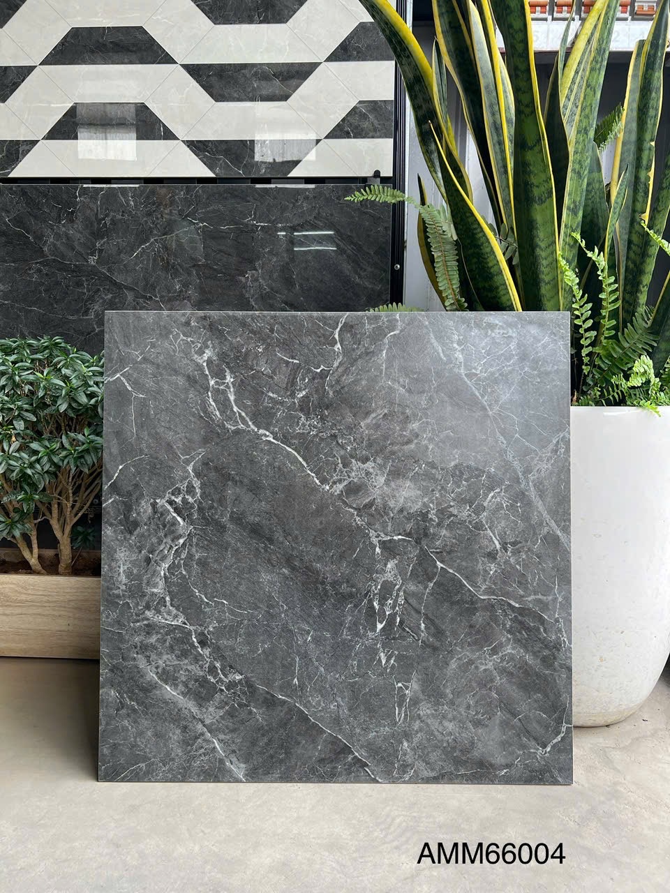 Gạch Lát Nền 60x60cm AMM6604-4757