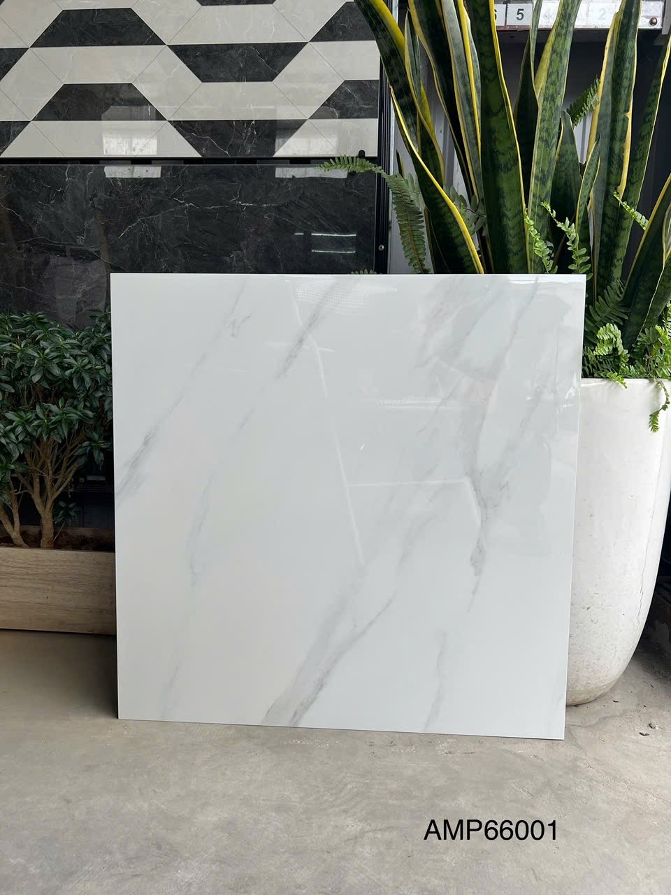 Gạch Lát Nền 60x60cm AMP66001-4752