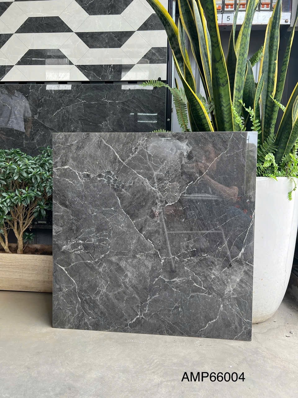 Gạch Lát Nền 60x60cm AMP66004-4751