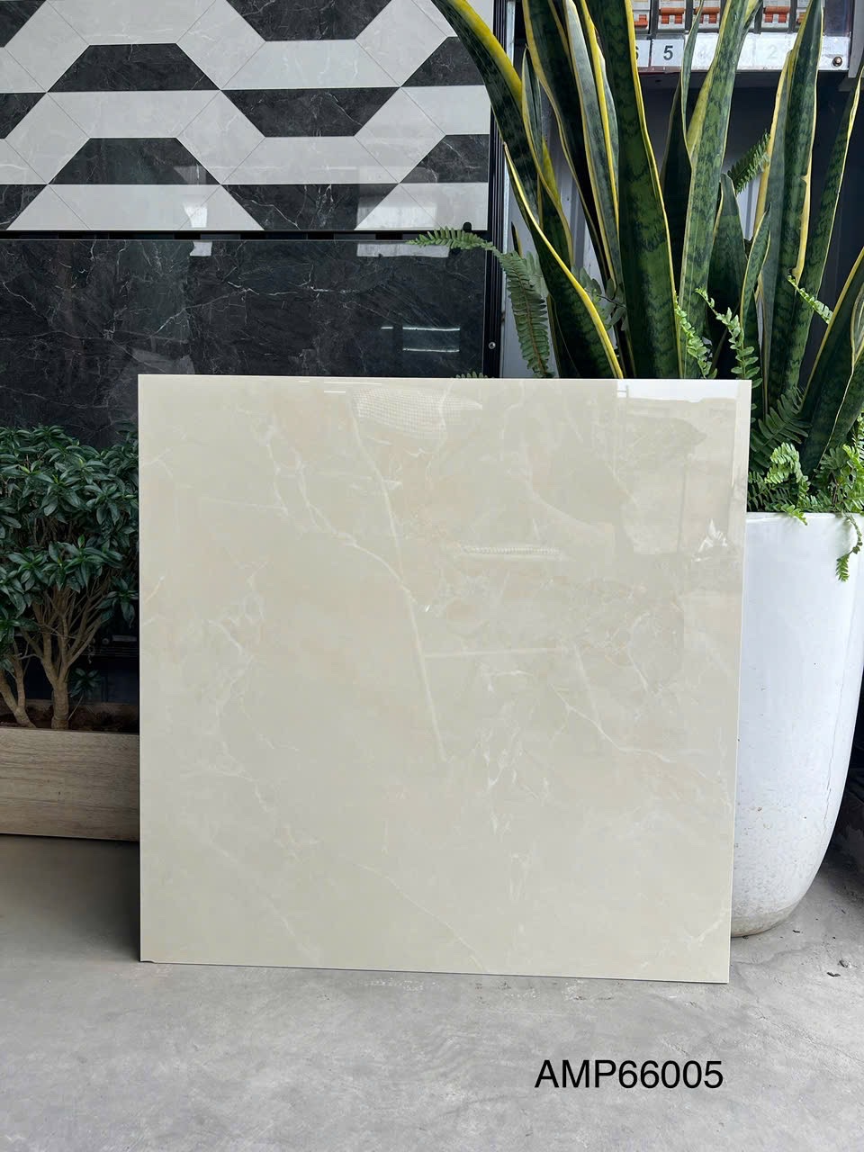 Gạch Lát Nền 60x60cm AMP66005-4754