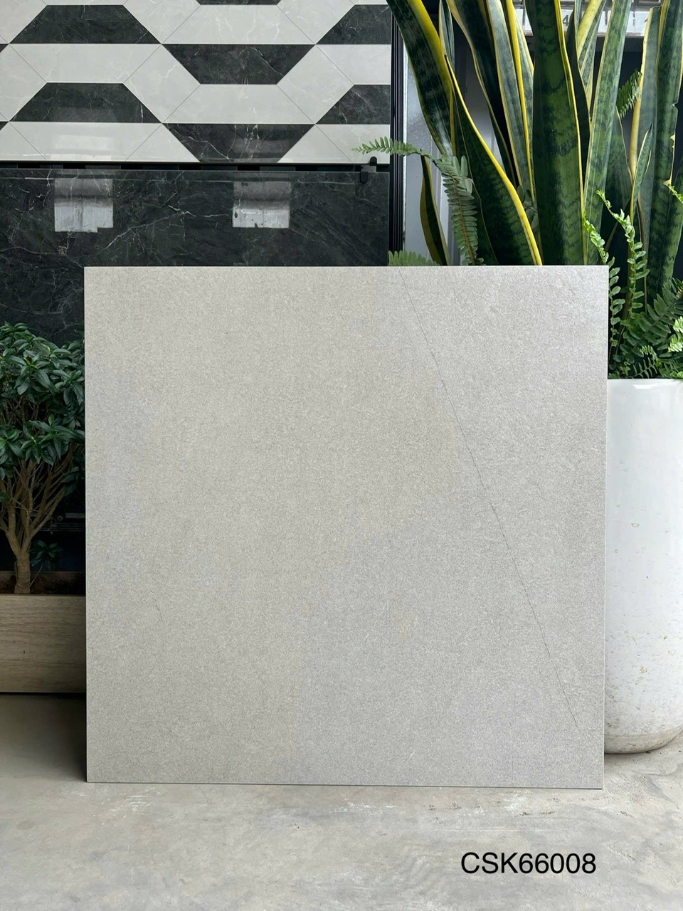 Gạch Lát Nền 60x60cm CSK66008-4764