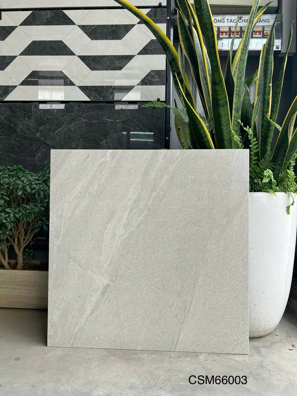 Gạch Lát Nền 60x60cm CSM66003-4762