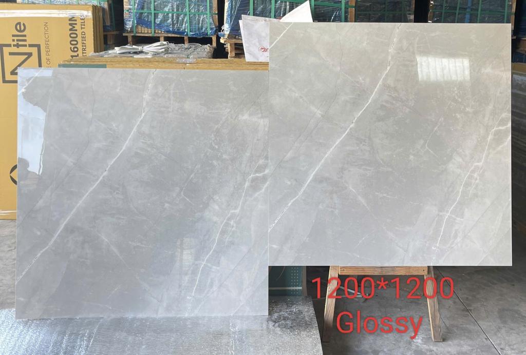 Gạch lát nền 120x120cm-4113