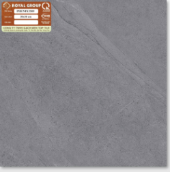 Gạch lát nền 30x30cm HOÀNG GIA-1481