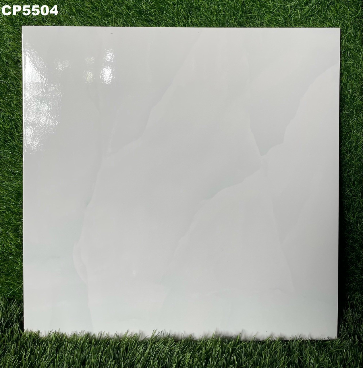 Gạch lát nền 50x50 FICO-1875