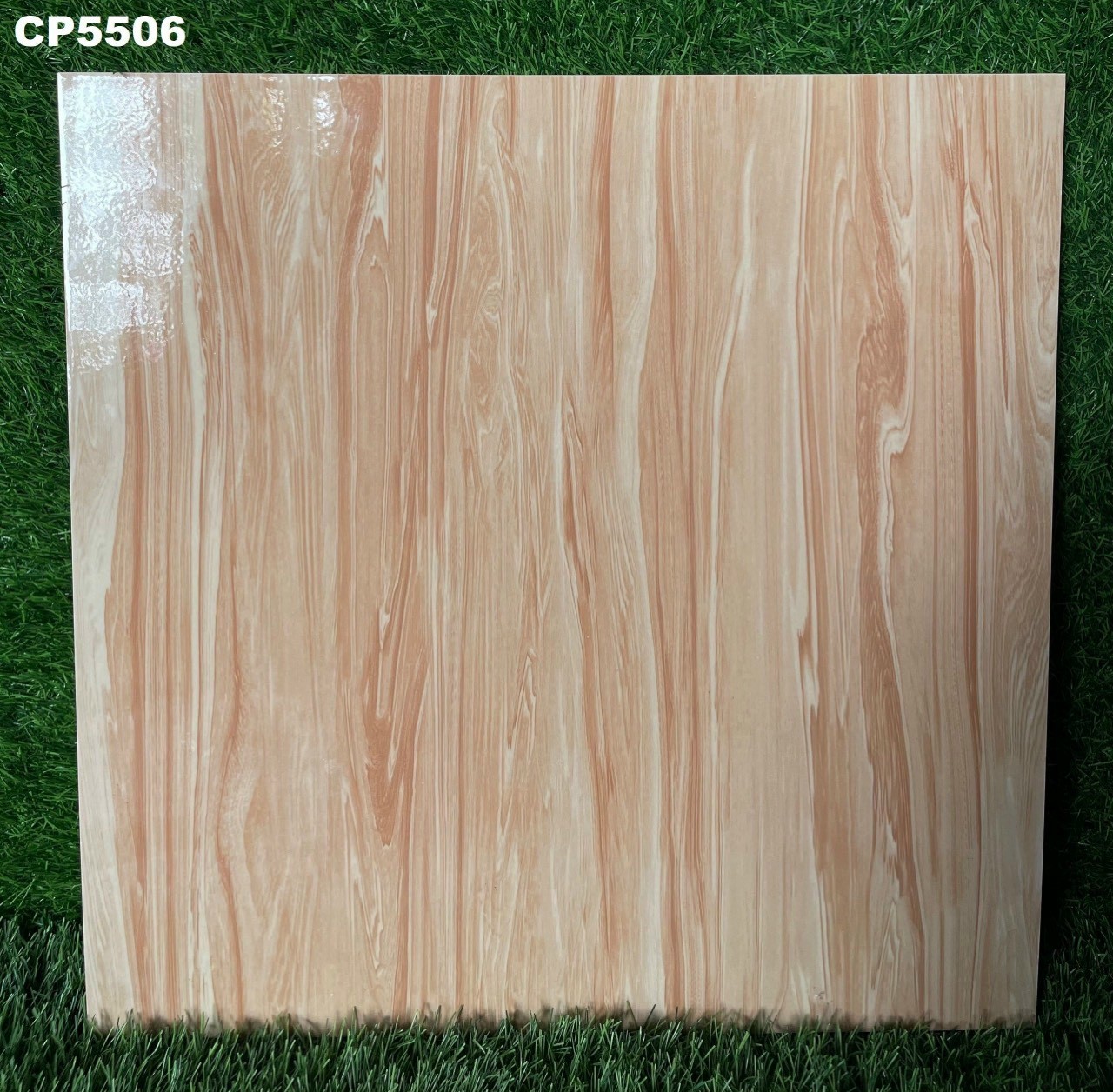 Gạch lát nền 50x50 FICO-1876