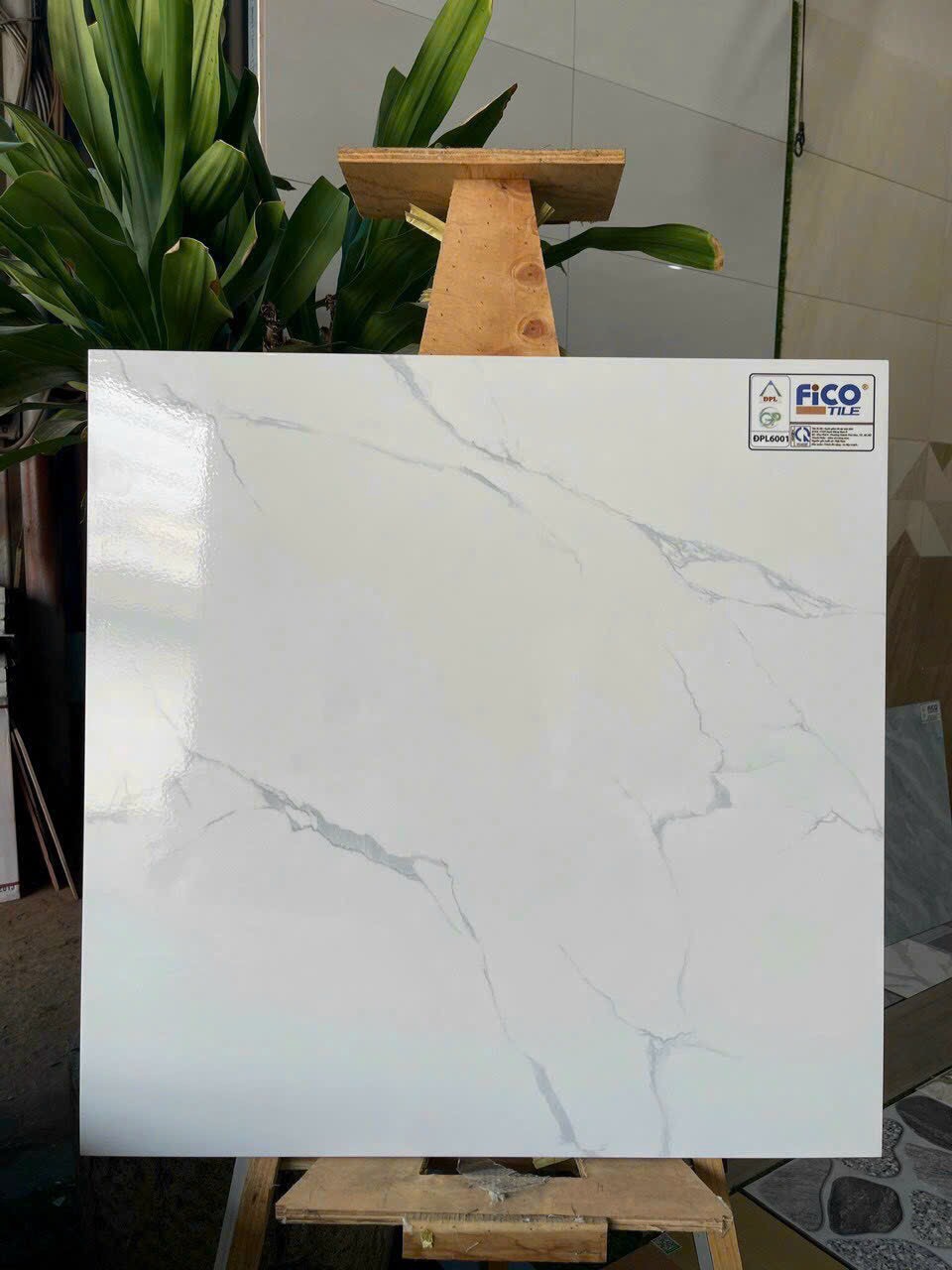 Gạch lát nền 60x60cm FICO-843