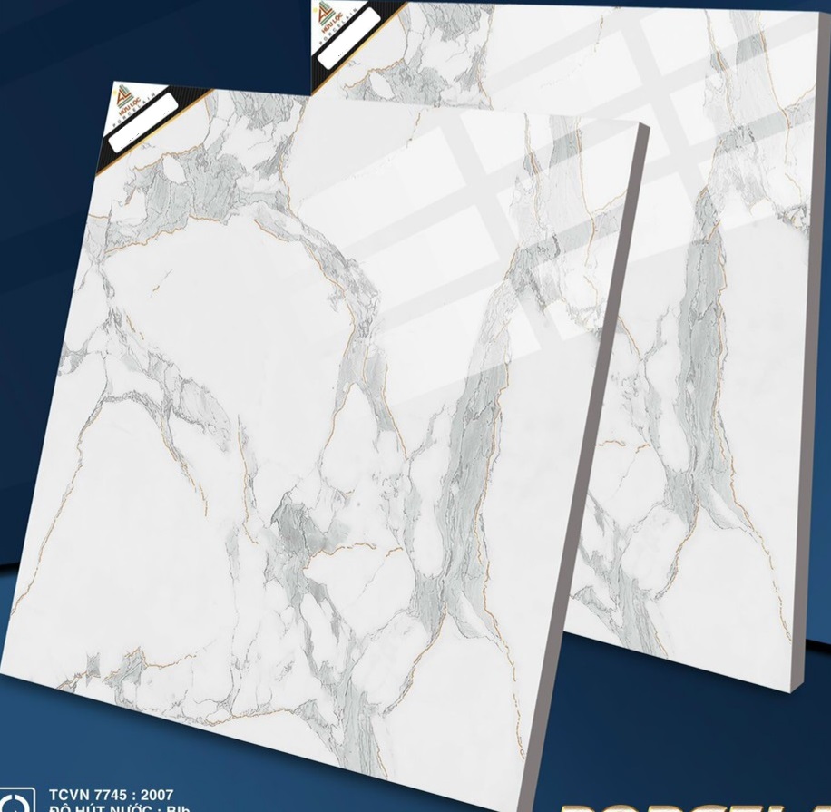 Gạch lát nền 60x60cm-191