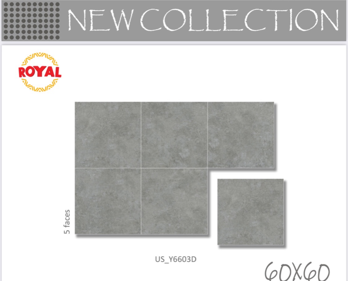 Gạch lát nền 60x60cm ROYAL-1320