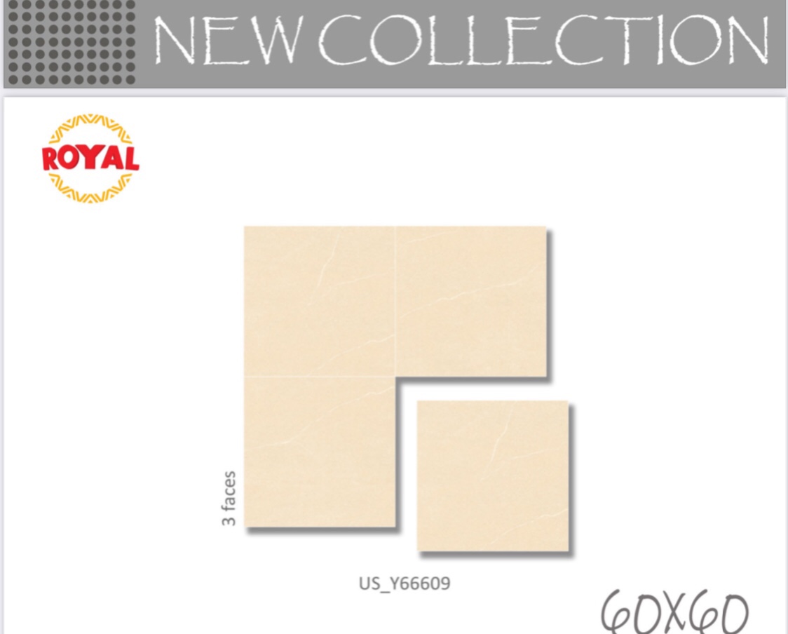 Gạch lát nền 60x60cm ROYAL-1319