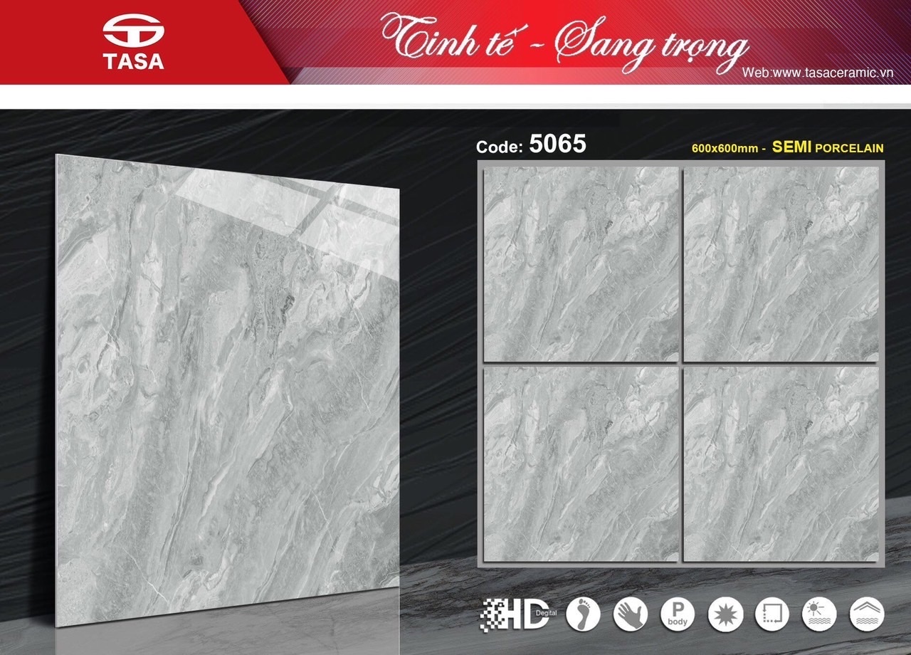 Gạch lát nền 60x60cm TASA-1193
