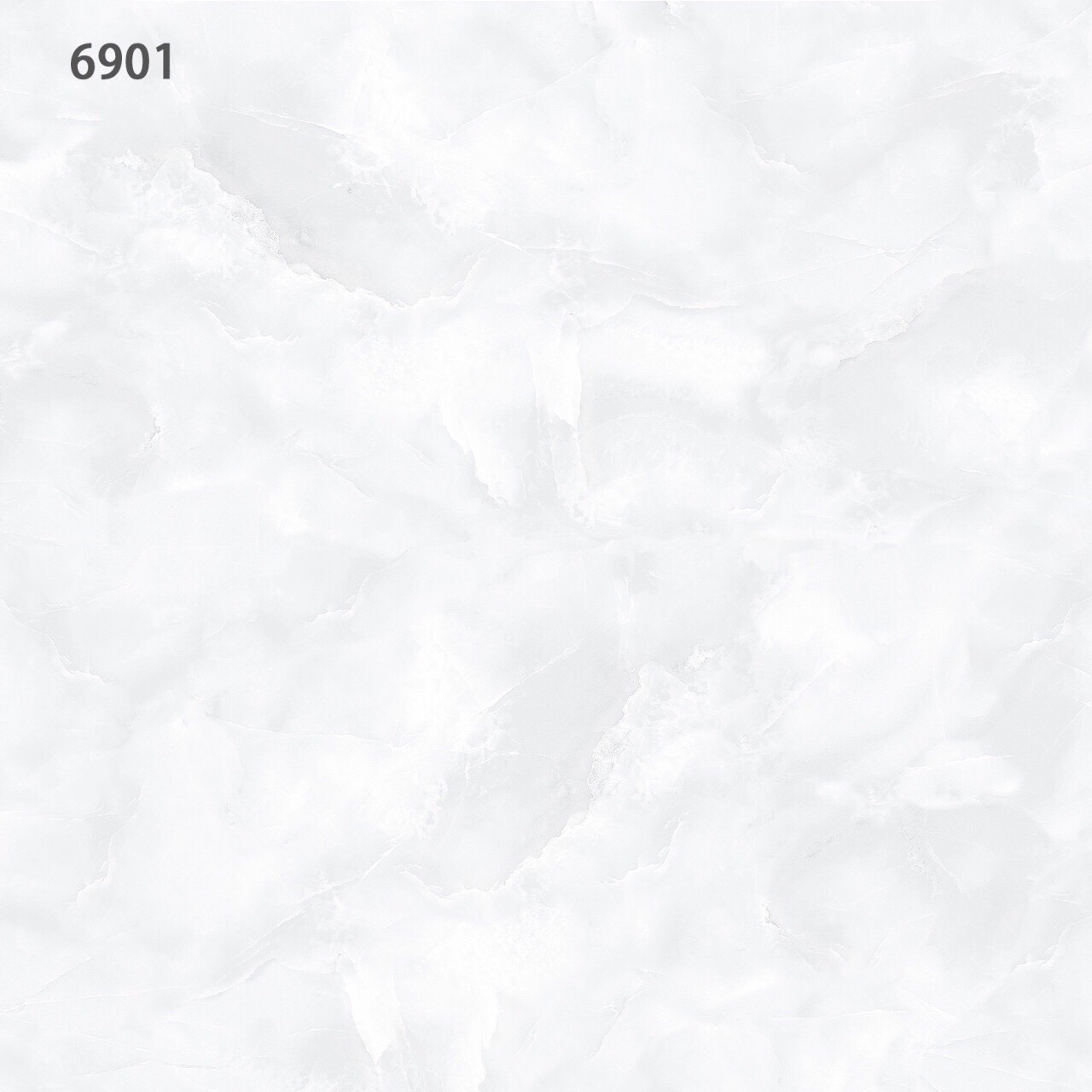 Gạch lát nền 60x60cm TASA-1048