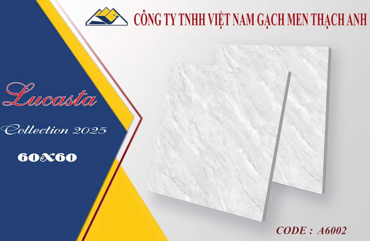 Gạch lát nền 60x60cm Vicera-4137