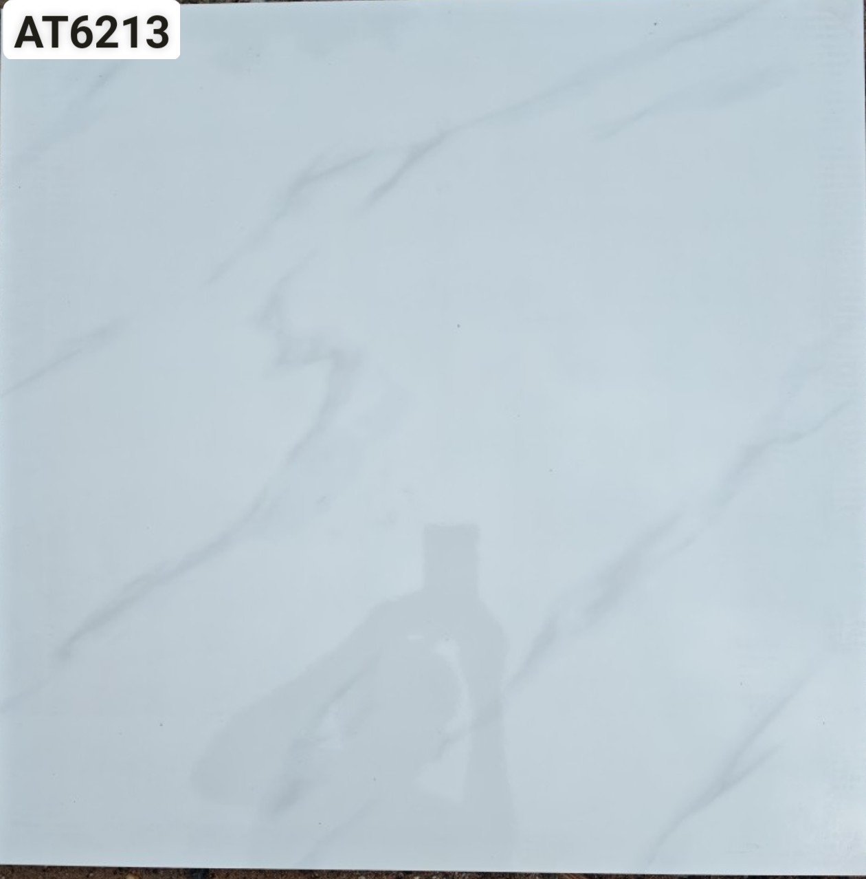 Gạch lát nền 60x60cm VICERA-1902