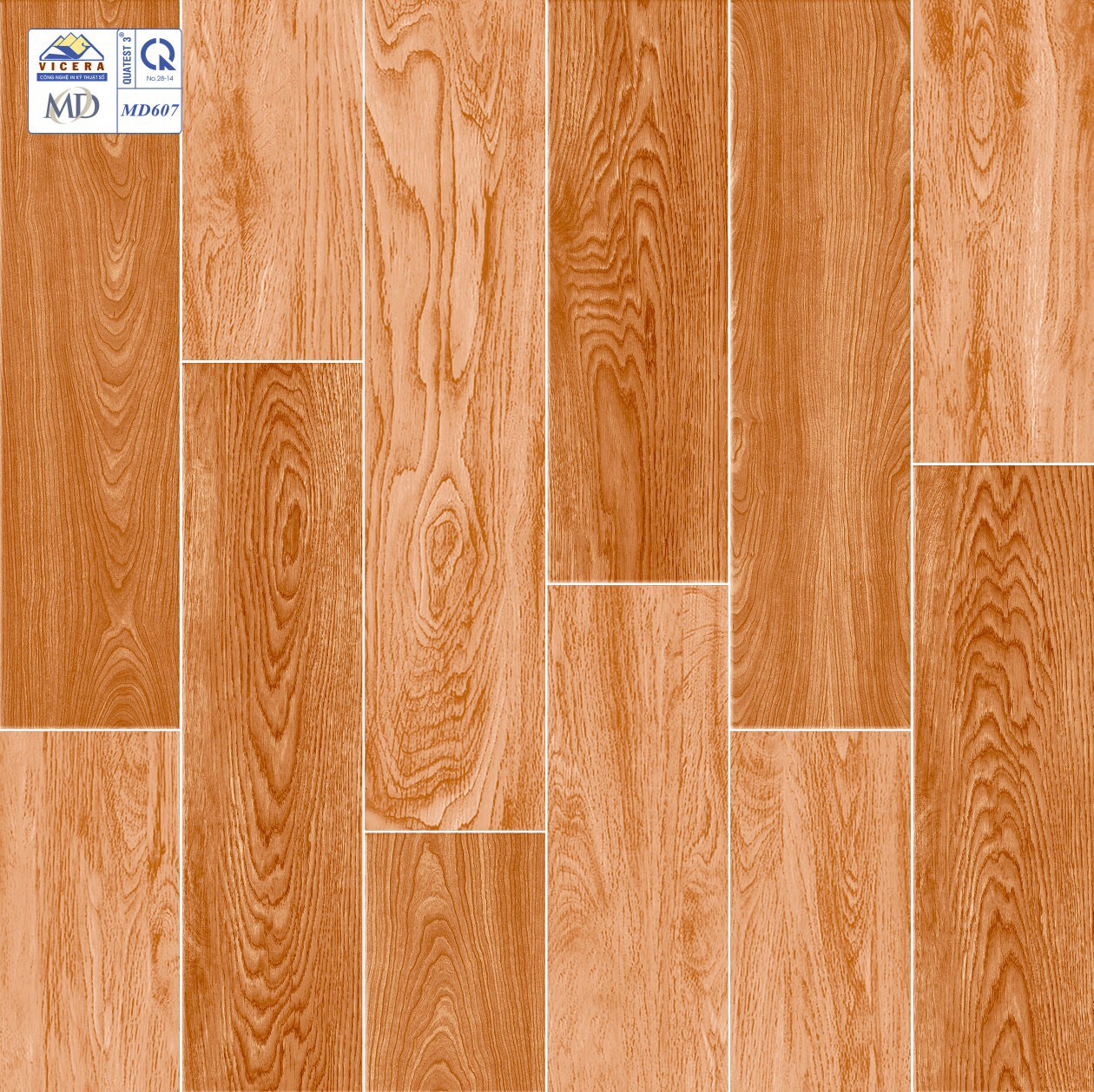 Gạch lát nền 60x60cm VICERA-864