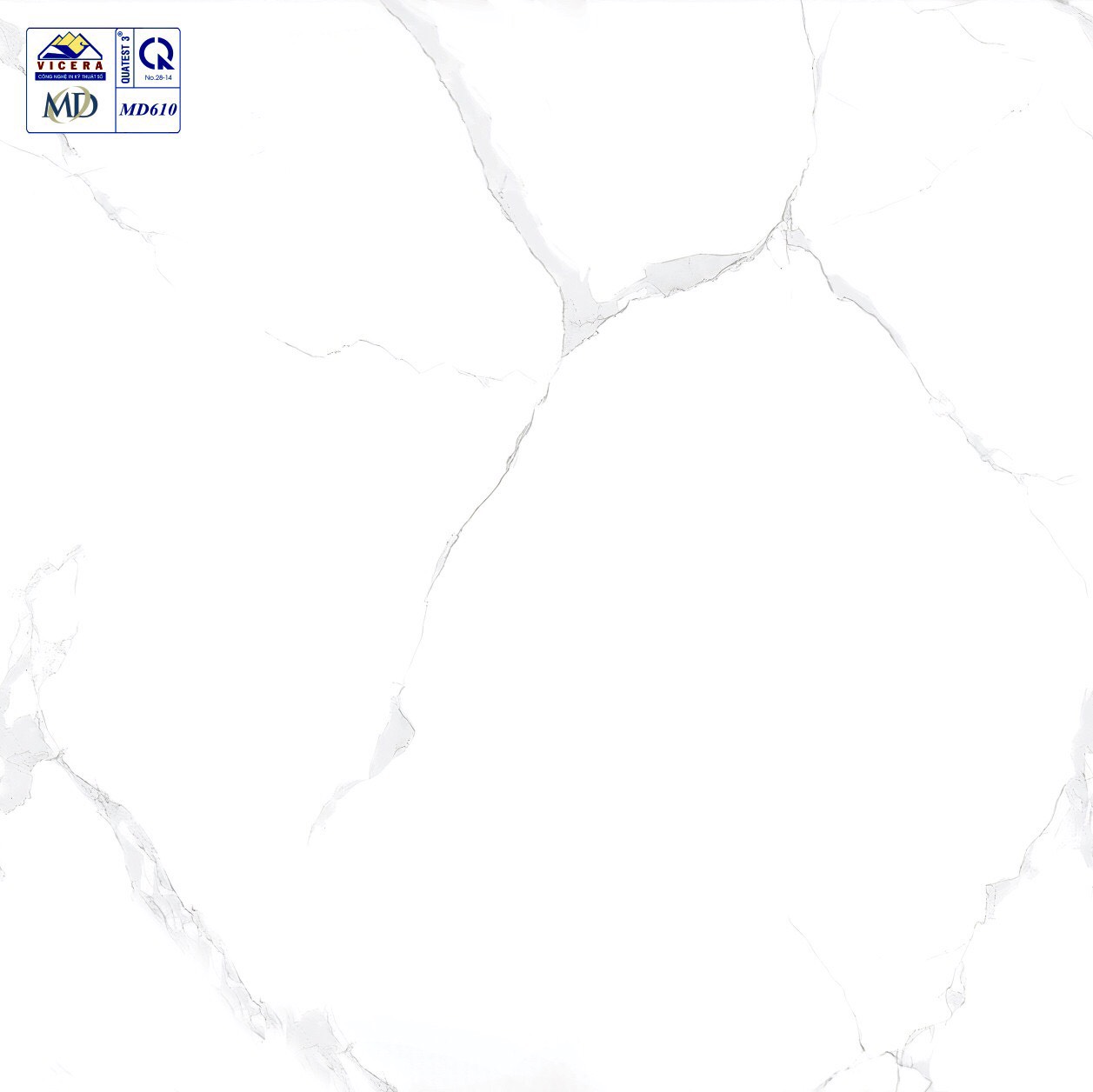 Gạch lát nền 60x60cm VICERA-869