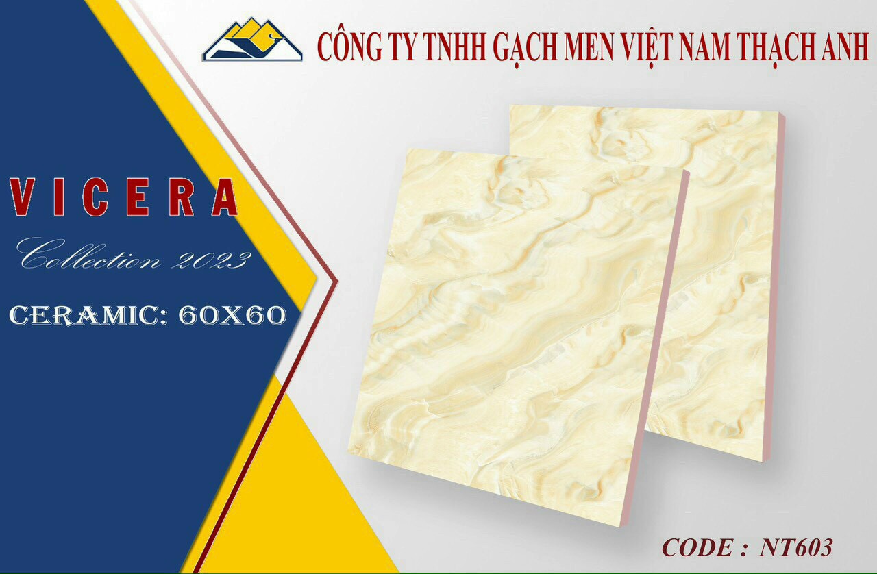 Gạch lát nền 60x60cm VICERA-1904