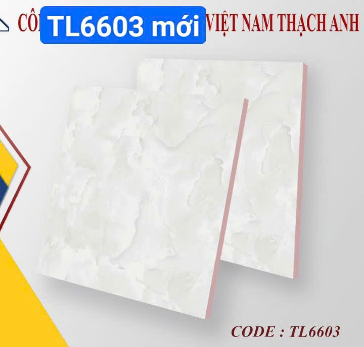 Gạch lát nền 60x60cm VICERA-1898