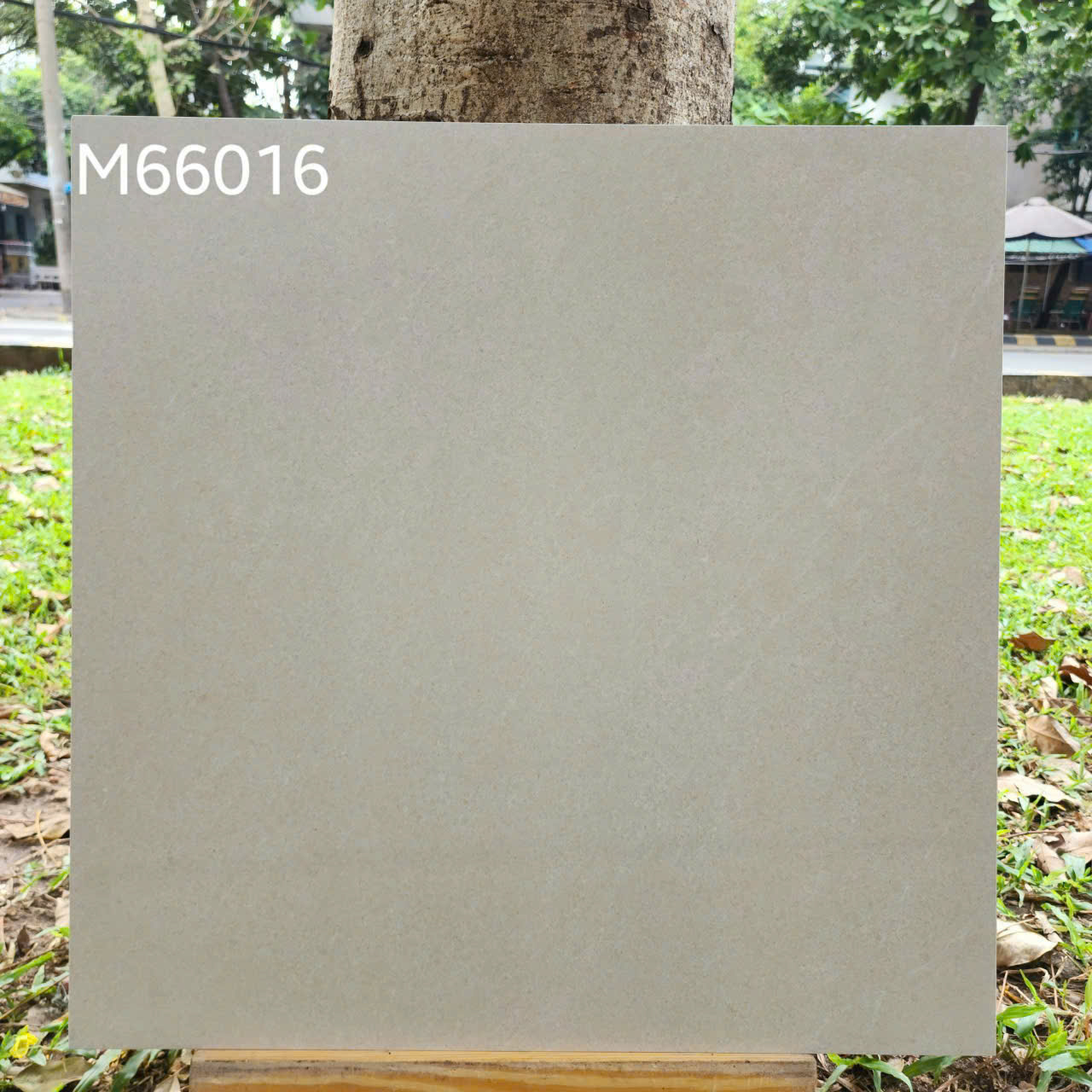 Gạch Lát Nền 60x60cm Việt Ý-4156