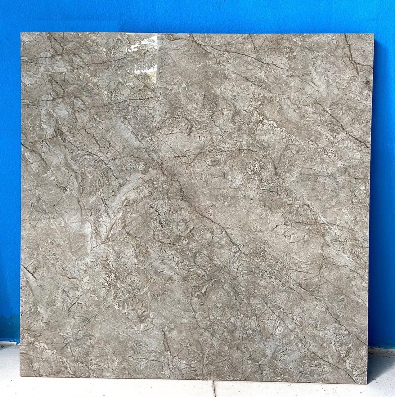 Gạch lát nền 60x60cm VIGLACERA-2193