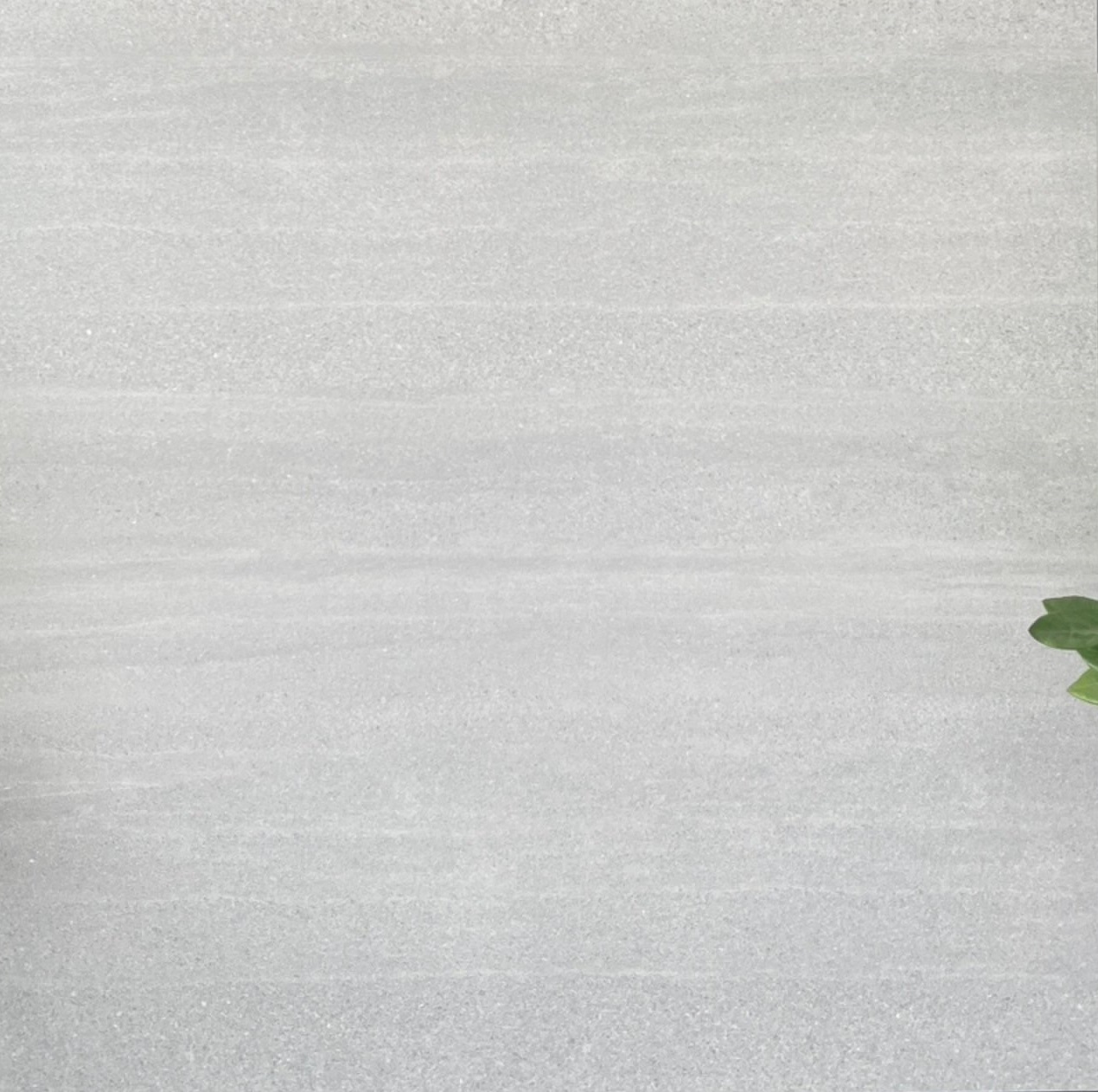 Gạch lát nền 80x80 Viglacera -2145