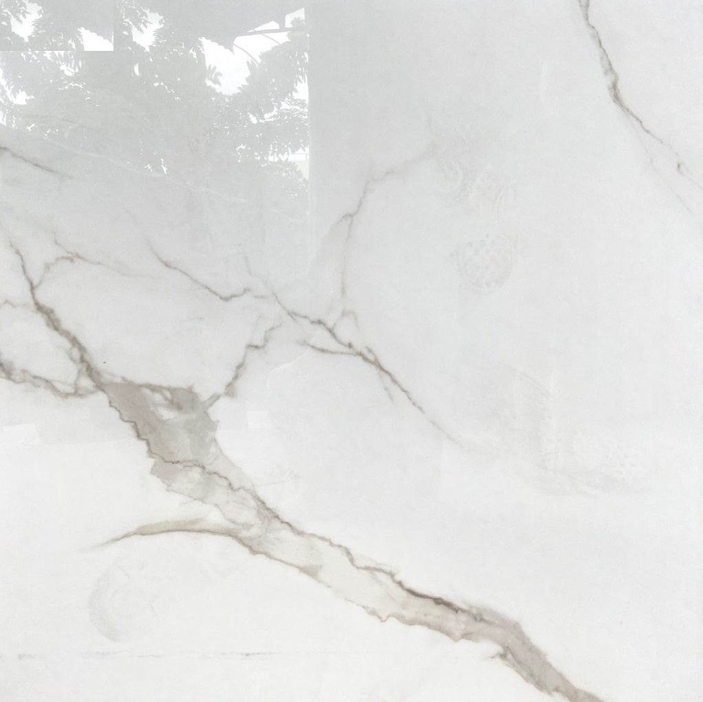 Gạch lát nền 80x80 Viglacera -2050