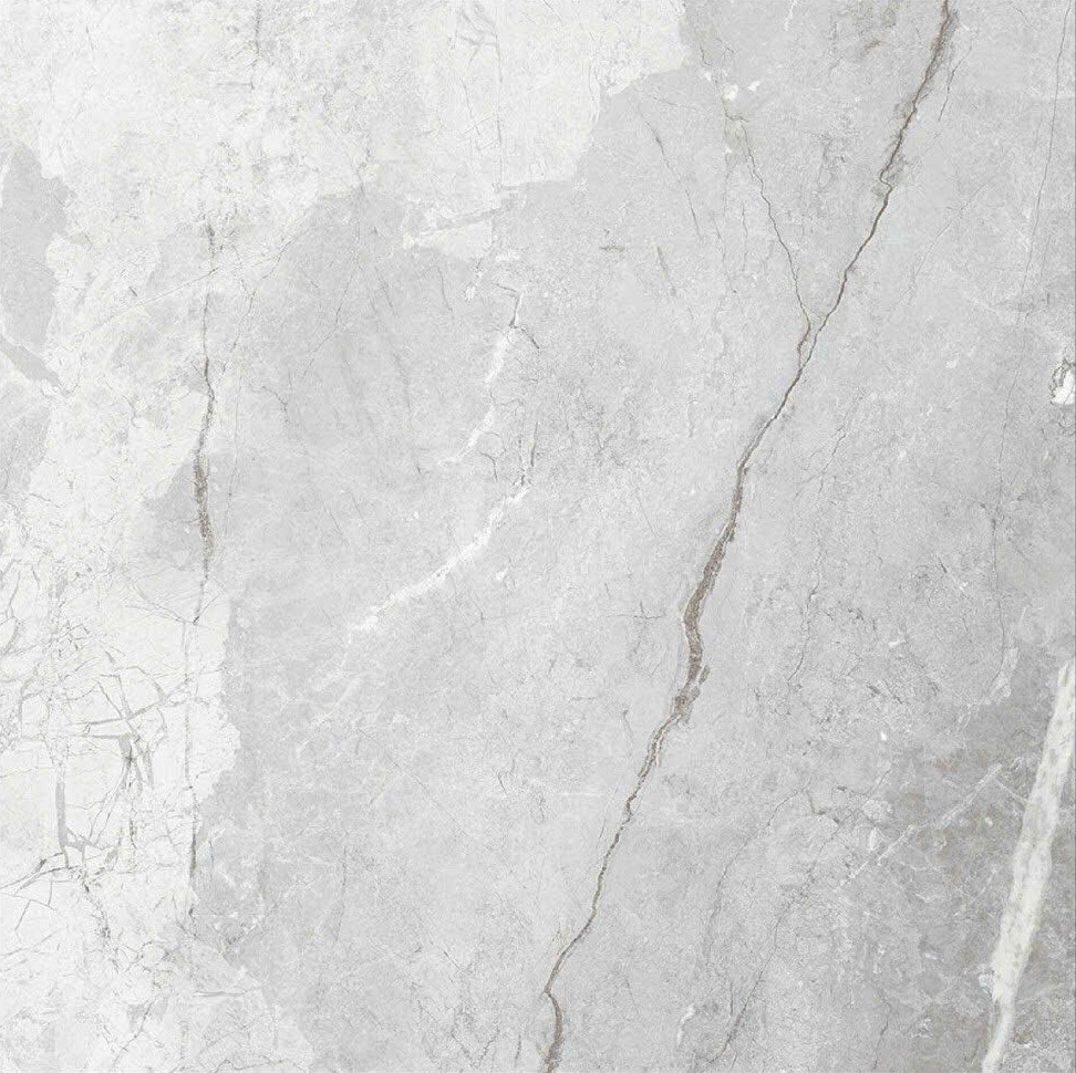 Gạch lát nền Ấn Độ Robico grey 120x120cm-2809