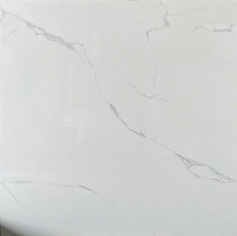 Gạch lát nền fico 60x60cm-481