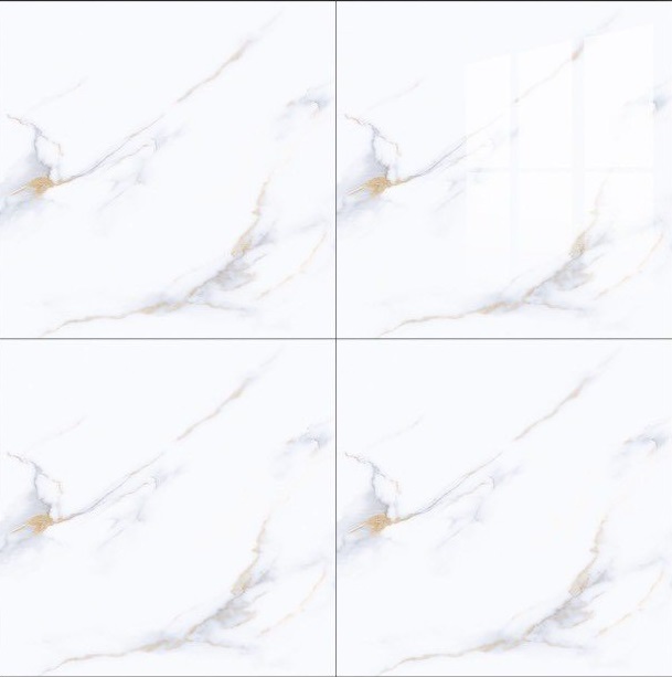 Gạch lát nền ONEMAX 80x80-658