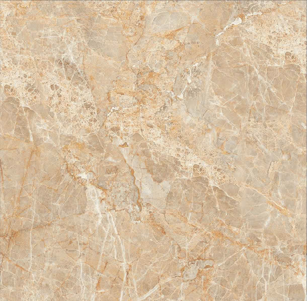 Gạch lát nền TTC 80x80cm -2904