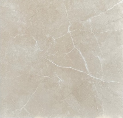 Gạch lát nền Viglacera 80x80-504