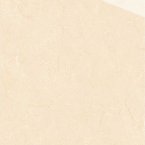 Gạch lát nền VITTO 100x100cm-262
