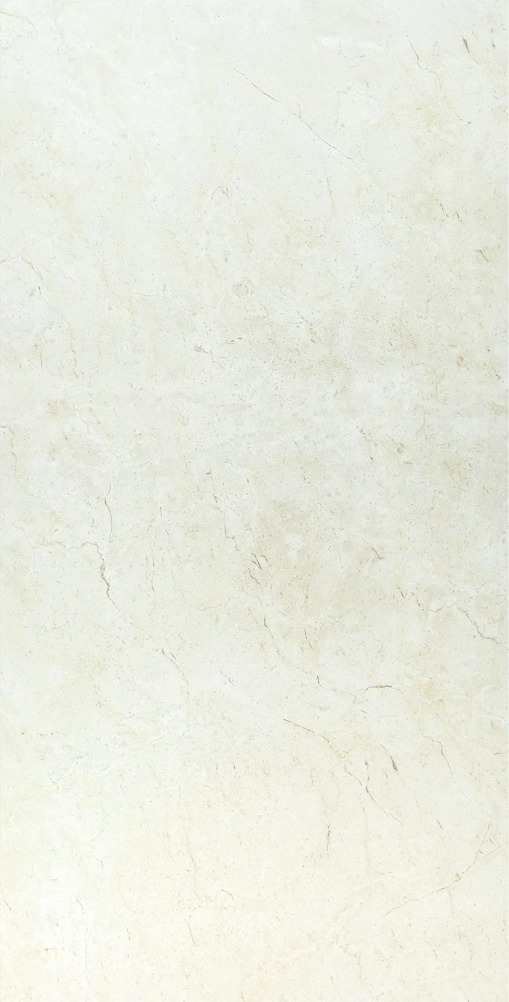 Gạch nhập ấn độ 60x120cm-3496
