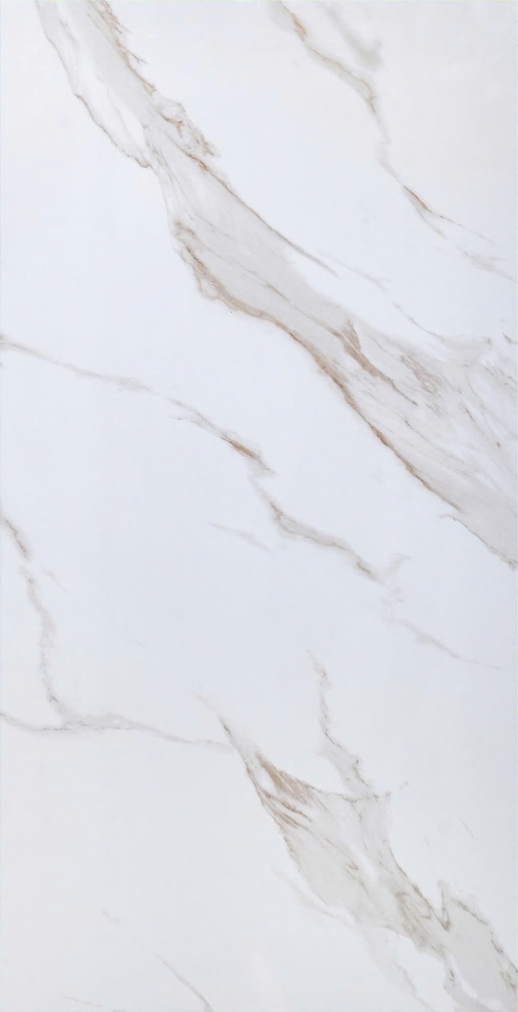 Gạch nhập ấn độ 60x120cm-3494