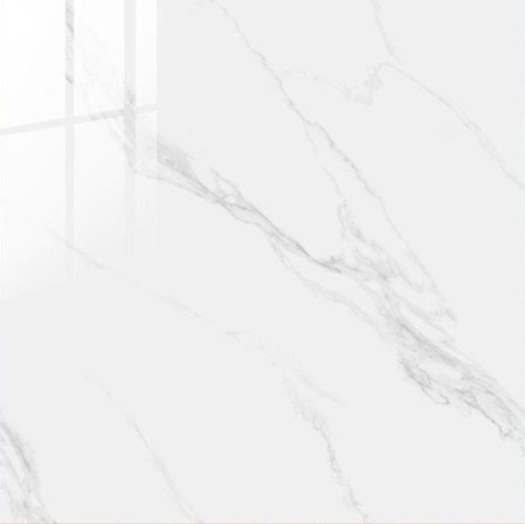 Gạch ốp lát 100x100cm Onemax-2129