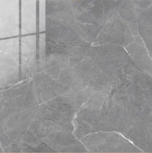 Gạch ốp lát 100x100cm Onemax-2126