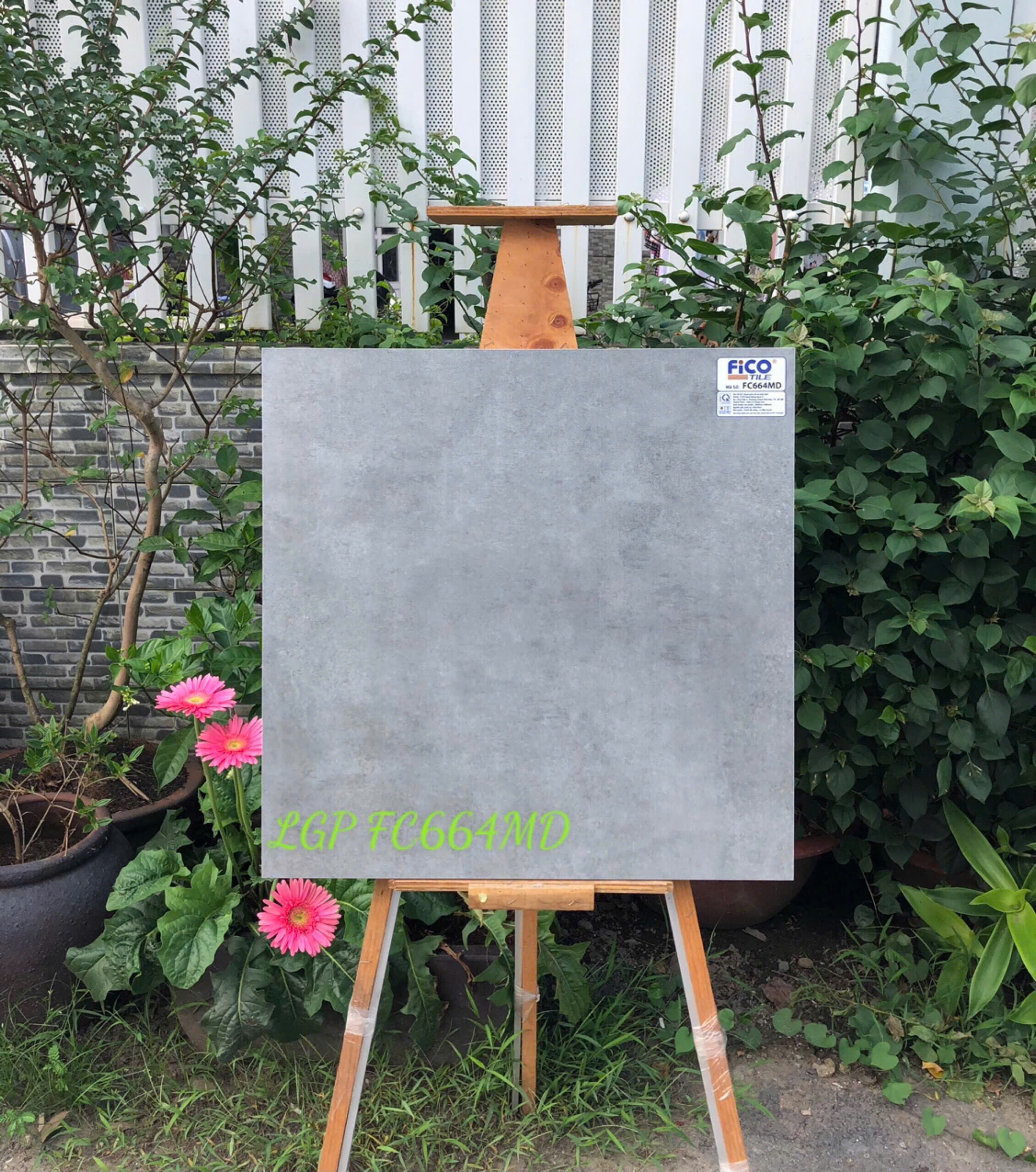 Gạch ốp lát  60x60cm men matt-4293