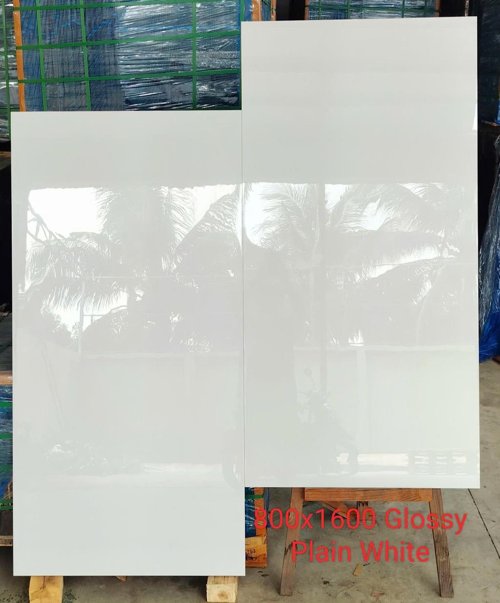 Gạch ốp lát 80x160cm Plain White-4107